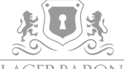 -StorageBook-Detailansicht 3 wohn-gewerbepark-lengede-erzring--LAGERBARON-grau_Mail_242_75.png