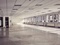 Vorschau: safebox-l denscheid-selfstorage-lagerhallen-lagerboxen-lager-b ros-b rotrakte-business-gewerbe-praxisr ume.jpeg